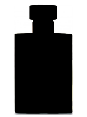 Oud Noir Type - Formula