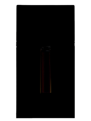 Homme Parfum D. 2014 Type - Formula