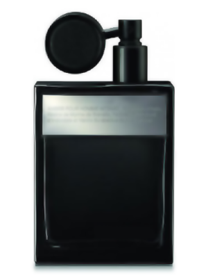 Pra Amber Pour Homme Intense Type - Formula