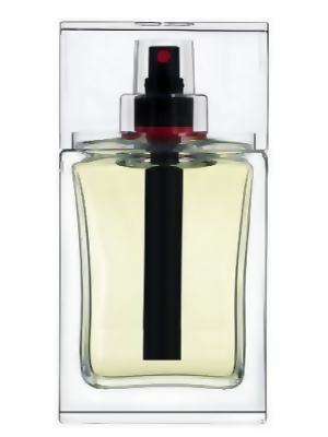 Homme Sport 2008 Type - Formula
