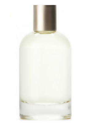 Santal 33 Type - Formula