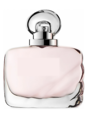 Beautiful Magnolia Type - Formula