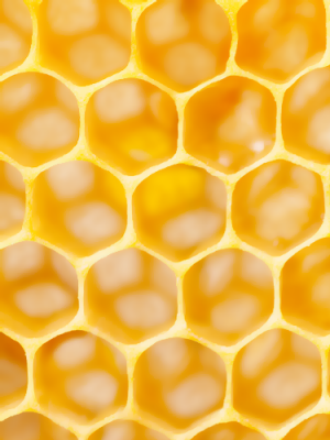 Honey Signature I.F. Base - Formula