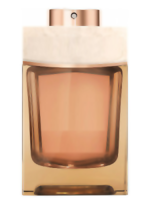 Man Terrae Essence Type - Formula