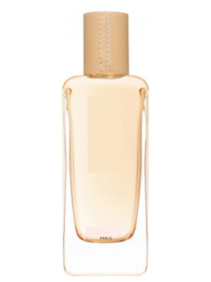 H Cuir d'Ange Type - Formula