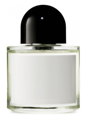 Accord Oud B Type -Formula