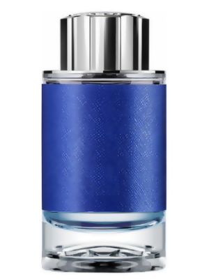 Explorer Ultra Blue Type - Formula