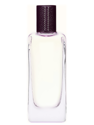Brin de Réglisse H Type - Formula