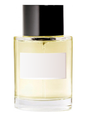 Dries Van Noten Type - Formula