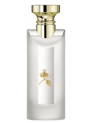 Eau Parfumee au The Blanc BV Type - Formula