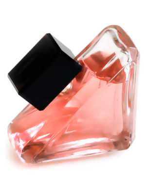 Paradoxe EDP 2022 Type _ formula