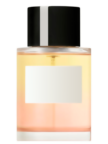 Acne Studios Type - Formulas