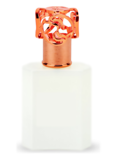 Musk 74 Poudre Type - Formula
